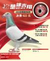 图片暂时未上传