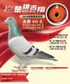 图片暂时未上传