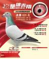 图片暂时未上传