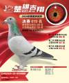 图片暂时未上传
