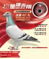 图片暂时未上传