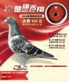 图片暂时未上传