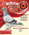 图片暂时未上传