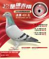 图片暂时未上传
