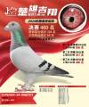 图片暂时未上传