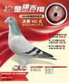 图片暂时未上传