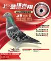 图片暂时未上传