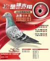 图片暂时未上传