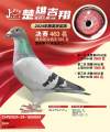 图片暂时未上传