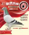 图片暂时未上传