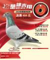 图片暂时未上传