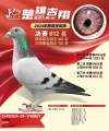 图片暂时未上传