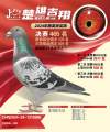 图片暂时未上传