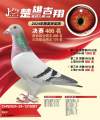 图片暂时未上传