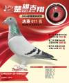 图片暂时未上传