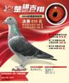 图片暂时未上传