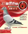 图片暂时未上传