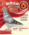 图片暂时未上传