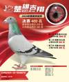 图片暂时未上传