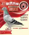 图片暂时未上传