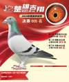 图片暂时未上传
