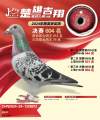 图片暂时未上传