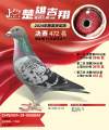 图片暂时未上传