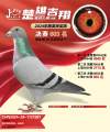 图片暂时未上传