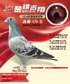 图片暂时未上传