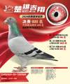 图片暂时未上传