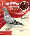 图片暂时未上传