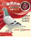 图片暂时未上传