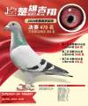 图片暂时未上传