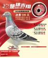 图片暂时未上传
