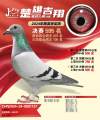 图片暂时未上传