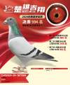 图片暂时未上传