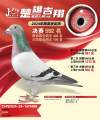 图片暂时未上传