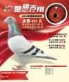 图片暂时未上传