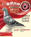图片暂时未上传