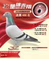 图片暂时未上传