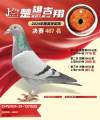 图片暂时未上传