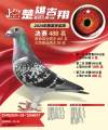 图片暂时未上传