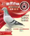 图片暂时未上传