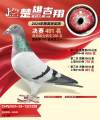 图片暂时未上传
