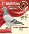 图片暂时未上传