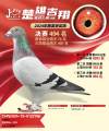 图片暂时未上传