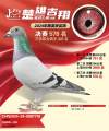 图片暂时未上传
