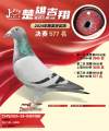 图片暂时未上传