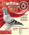 图片暂时未上传