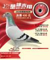 图片暂时未上传